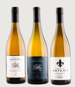 Chardonnay Vertical 2022-2024