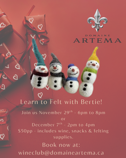 Felting with Bertie Nov 29, 2025