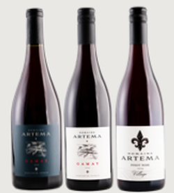 Gamay / Pinot Noir Vertical